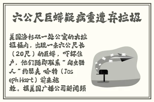 绿巨人视频在线观看免费完整版